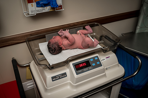 Newborn baby is placed on the scale at the hospital to record his weight 